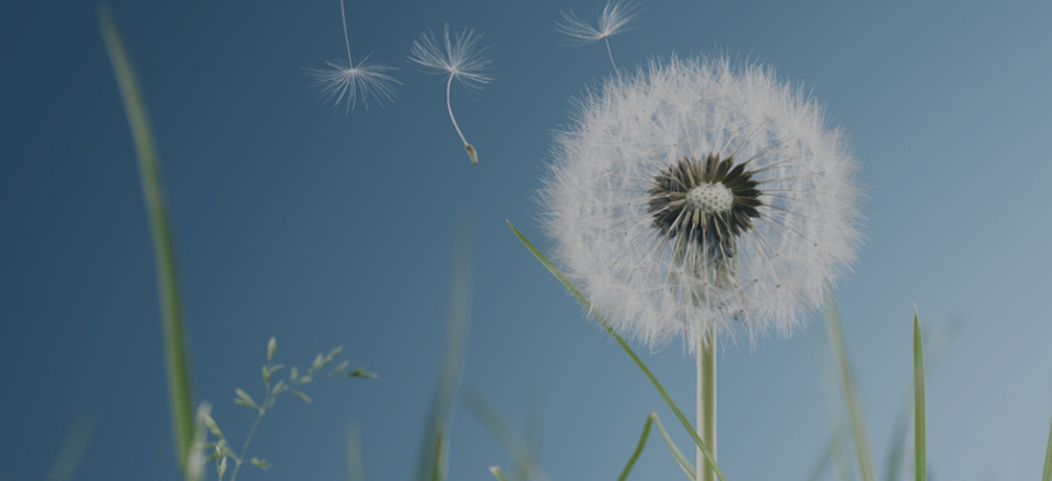 必发·bifa(中国)唯一官方网站